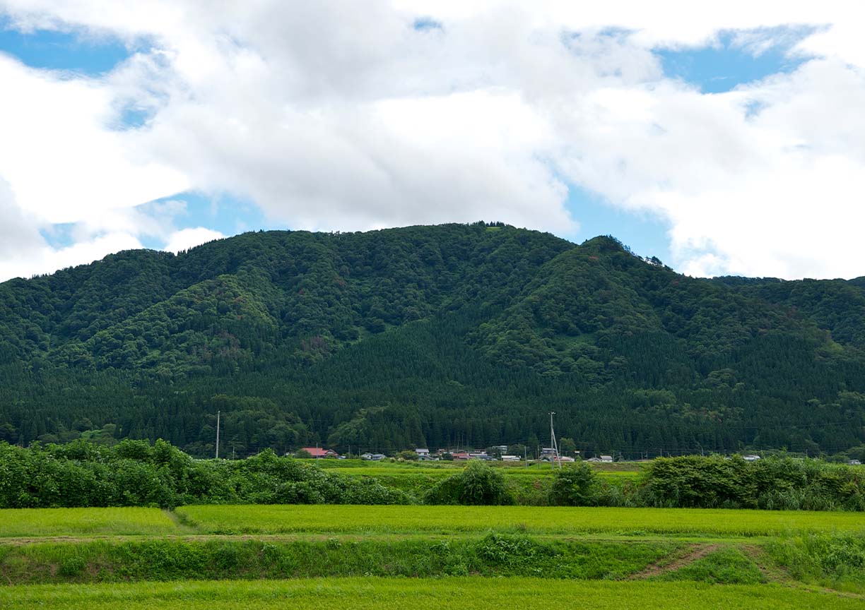 イメージ画像